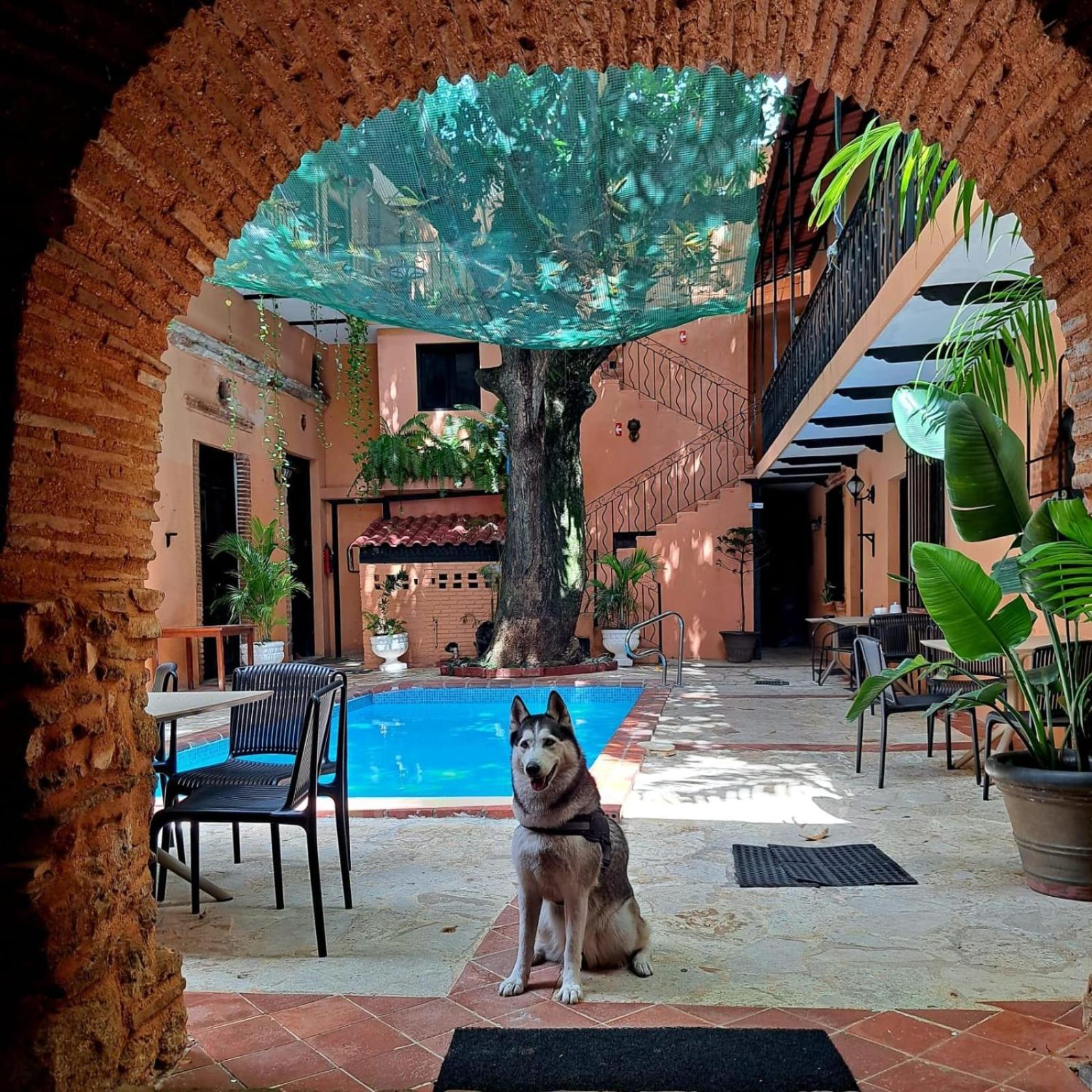 Historic Colonial Boutique Hotel Pool Jacuzzi Bar Restaurant By Aa Group Santo Domingo Exterior foto